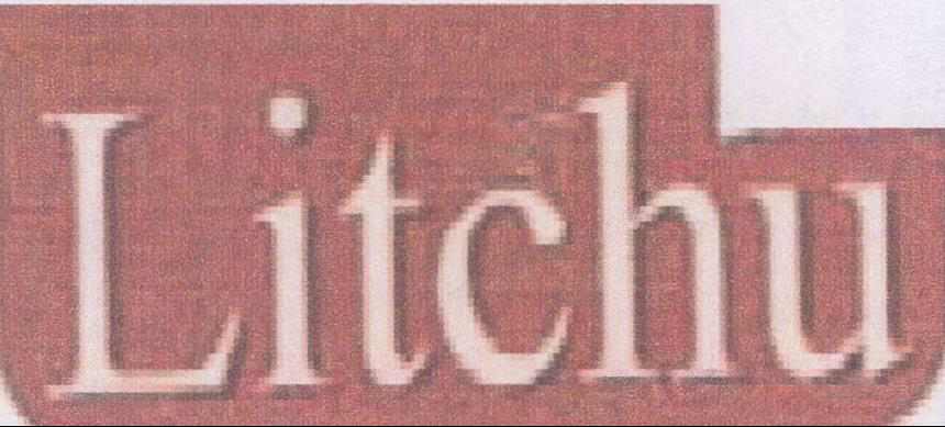 Litchu Device mark 2166757 Trademark