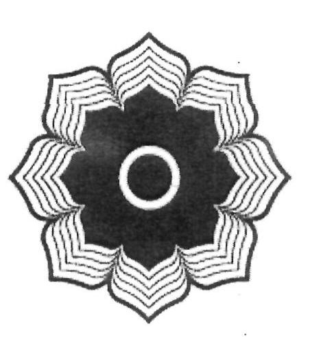 Device Device mark 2396549 Trademark