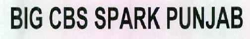 Big Cbs Spark Punjab Device mark 2495989 Trademark