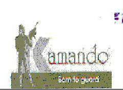 Amando Born To Guard Device mark 1259680 Trademark