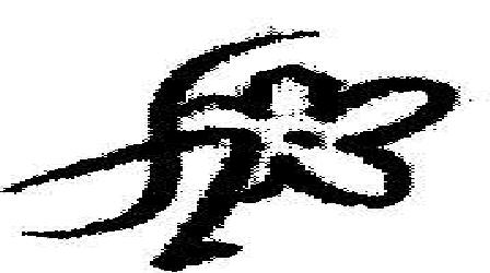 Flower Device mark 2043473 Trademark