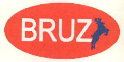 Bruze Device mark 2678143 Trademark