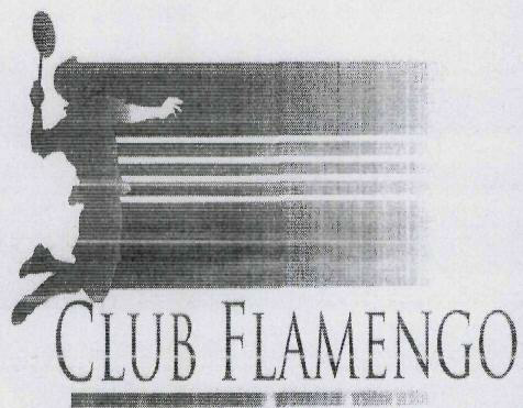 Club Flamengo Device mark 1966468 Trademark