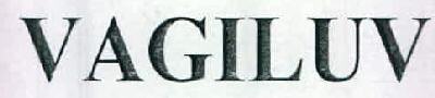 Vagiluv Device mark 2540360 Trademark