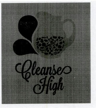 Cleanse High Device mark 2497084 Trademark