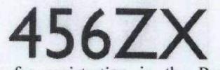 456zx Device mark 1945010 Trademark
