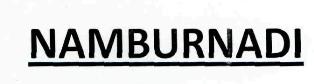 Namburnadi Device mark 2629951 Trademark