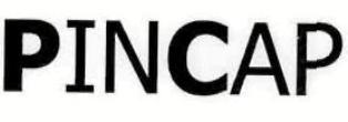 Pincap Device mark 2829124 Trademark