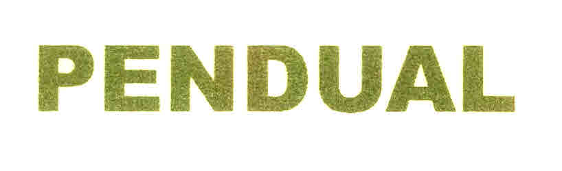 Pendual Device mark 2954391 Trademark