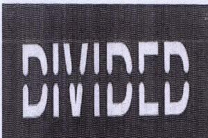 Divided With Device Device mark 1633343 Trademark