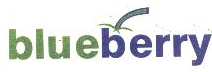 Blueberry Device mark 1751738 Trademark