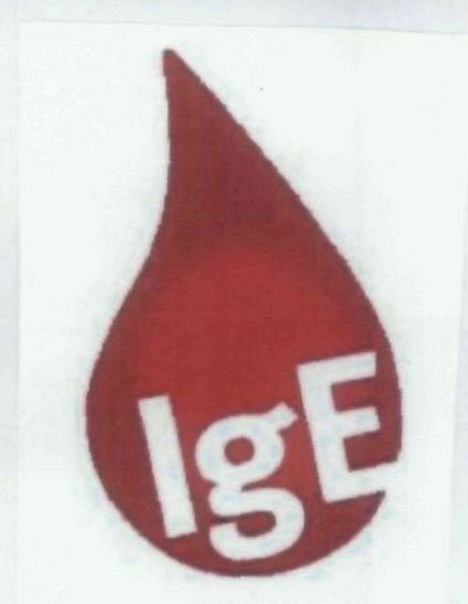 Ige Device mark 1824243 Trademark