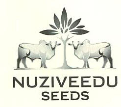 Nuziveedu Seeds Device mark 2485312 Trademark