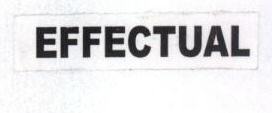 Effectual Device mark 1568874 Trademark
