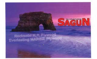 Sagun Device mark 1960250 Trademark