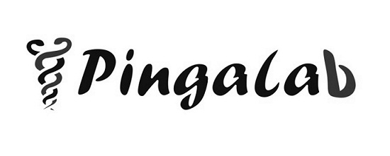 Pingalab Device mark 2725802 Trademark