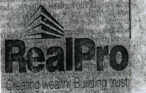 Realpro Device mark 1916164 Trademark