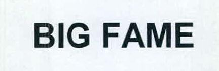 Big Fame Device mark 2570647 Trademark