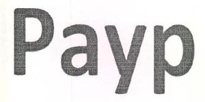 Payp Device mark 2633058 Trademark