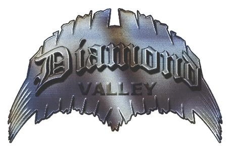 Diamond Valley Device mark 1638296 Trademark