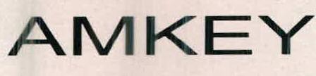 Amkey Device mark 2413035 Trademark
