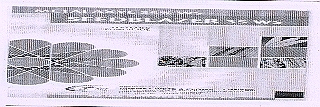 Seedblazer 35 Ws Device mark 1744302 Trademark