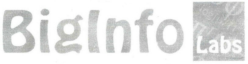Biglnfo Labs Device mark 2405722 Trademark