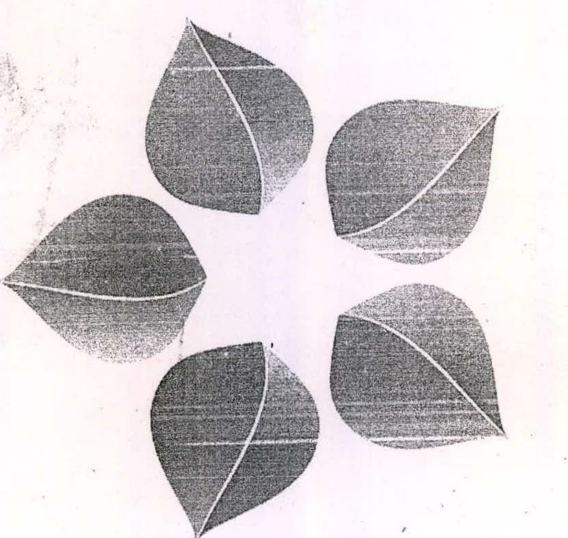 Geometrical Device Device mark 2250350 Trademark