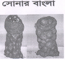 Sonar Bangla Device mark 2122106 Trademark