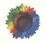 Flower Device Device mark 784762 Trademark