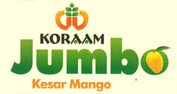 Koraam Jumbo Device mark 2358398 Trademark