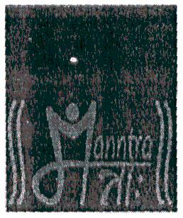 Manntra Device mark 1926382 Trademark
