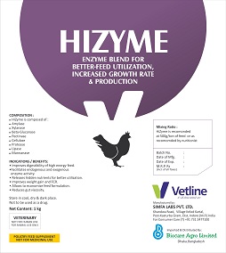 Hizyme Device mark 2980728 Trademark