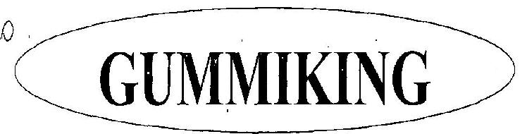 Gummiking (device) Device mark 2408461 Trademark