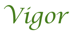 Vigor Device mark 2384567 Trademark