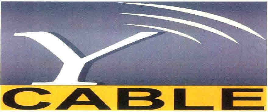 Y Cable Device mark 2698193 Trademark