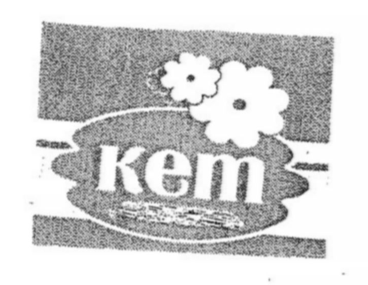 Kem Device mark 2410292 Trademark