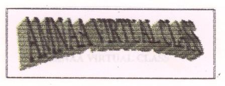 Amnaa Virtual Class (label) Device mark 1329436 Trademark