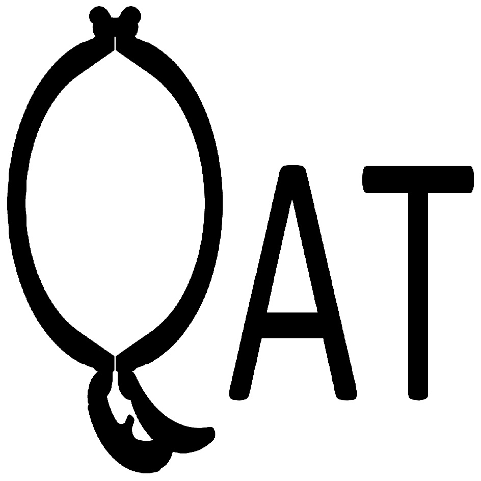 Qat Device mark 2873497 Trademark