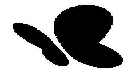 No Name Device mark 1883652 Trademark