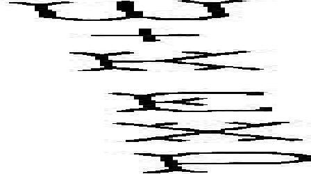 W + K C X P Device mark 1899647 Trademark