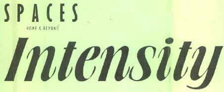 Spaces Home & Beyond Intensity Device mark 2839421 Trademark