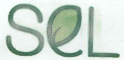 Sel Device mark 1931572 Trademark