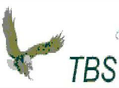Tbs-fit,device Of Eagle Device mark 1274073 Trademark