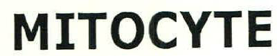 Mitocyte Device mark 2360331 Trademark