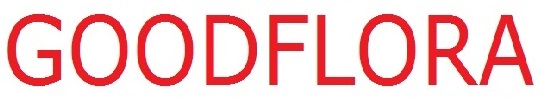 Goodflora Device mark 2841351 Trademark