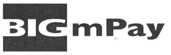 Bigmpay (device) Device mark 1659396 Trademark