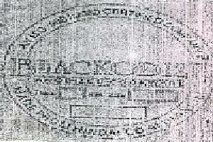 Blackodre Device mark 2401452 Trademark