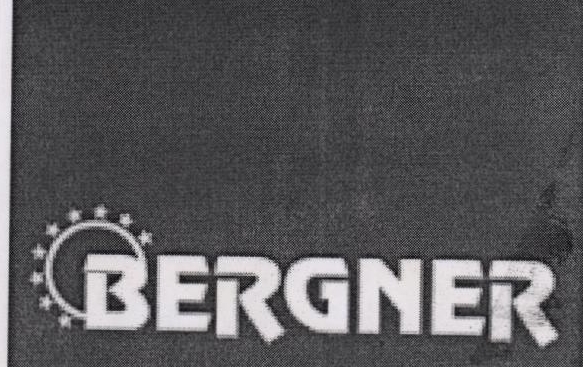 Bergner Device mark 1822023 Trademark
