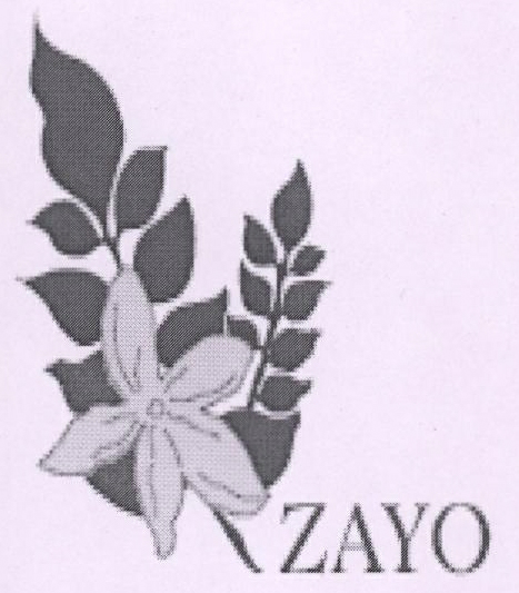 Zayo Device mark 1831998 Trademark